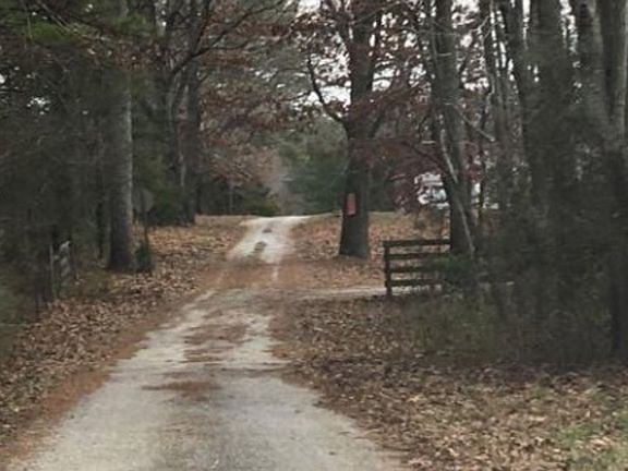 Exterior Neighborhood (street photo)