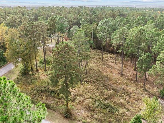 5th image of 194 Grande Pines Vista