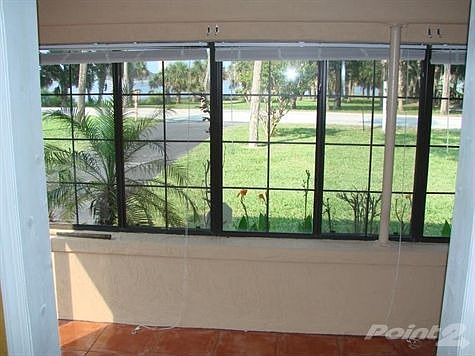 View from Florida room