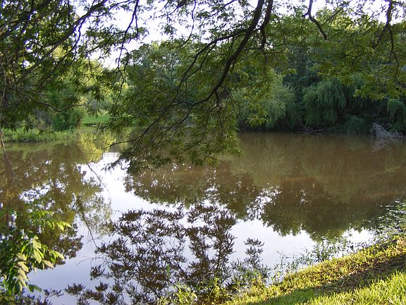 Pond in backyard
