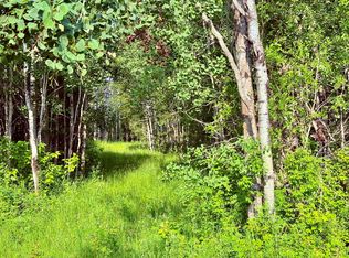 21st Ave SW, Baudette, MN 56623