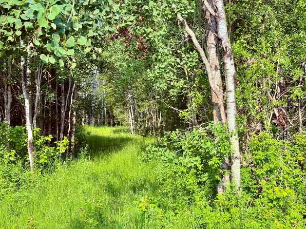 21st Ave SW, Baudette, MN 56623