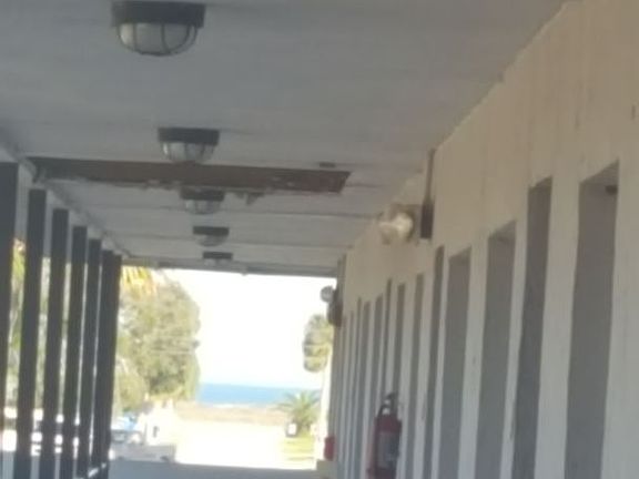 5th image of 900 S Peninsula Dr APT 206