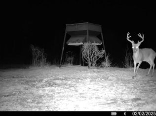 3 Cemetery Rd, Harrisonburg, LA 71340