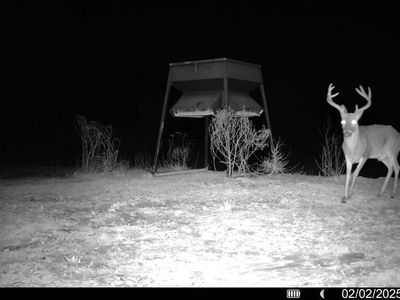 3 Cemetery Rd, Harrisonburg, LA, 71340