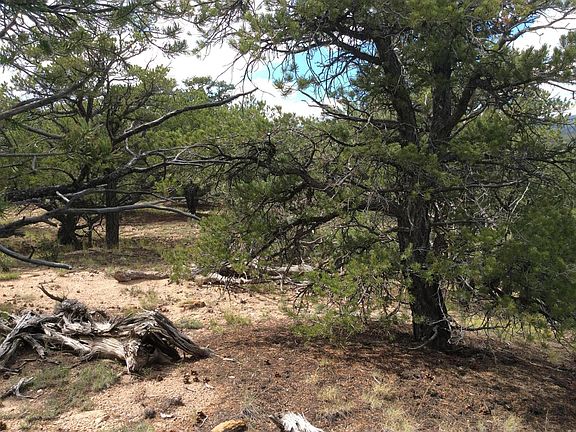 3rd image of 634 County Road L Acres