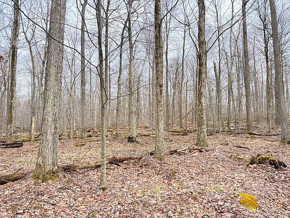 4th image of Morrison Hill Rd