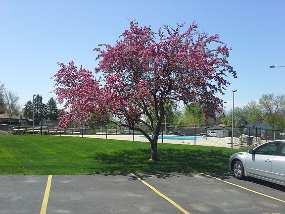 2nd image of 7960 S Wildwood Dr #2