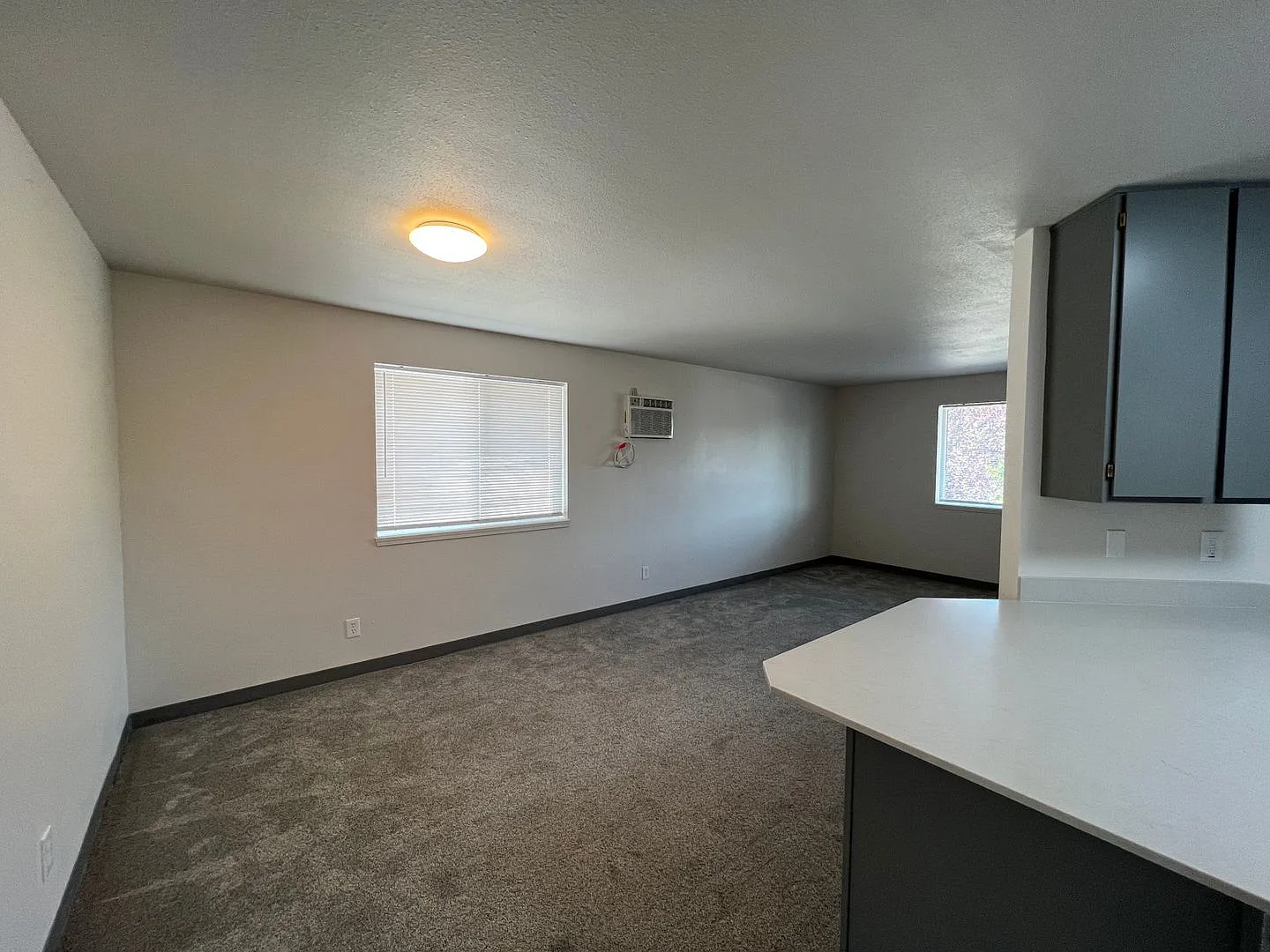 806 E White Birch Ave — Photo 3
