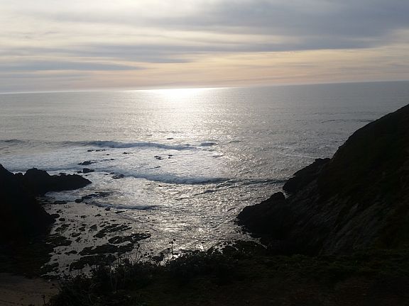 Bodega Head 30 minutes away
