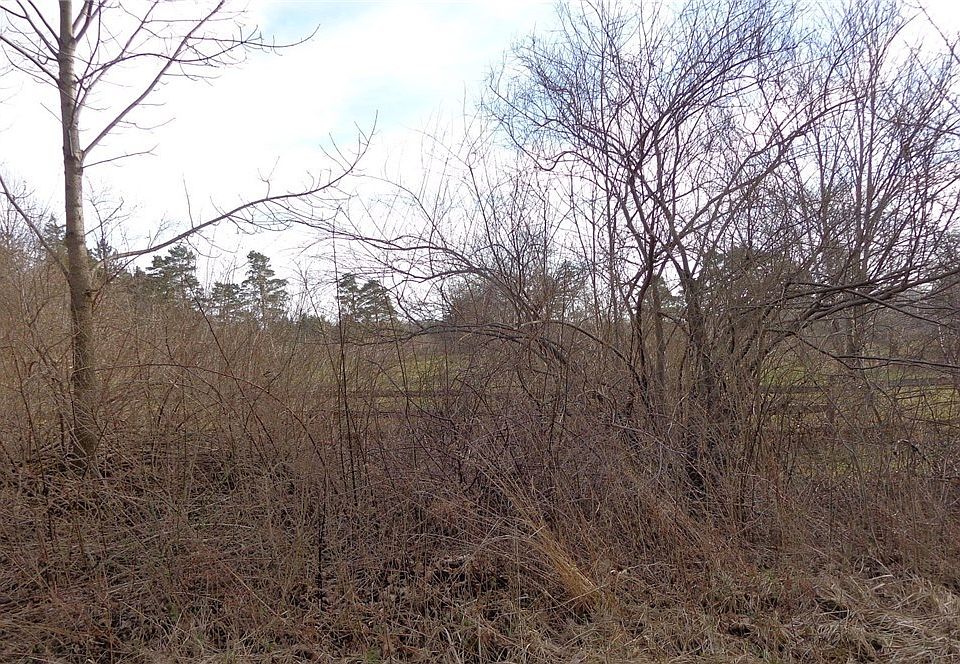 2nd image of Cedar Rd