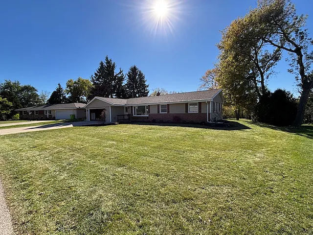 Sunny yard