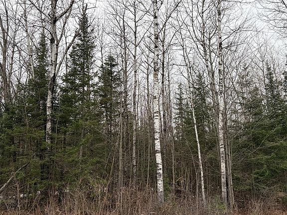 4th image of ON Old Couderay Road