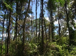 Lehua Rd LOT 571, Pahoa, HI 96778