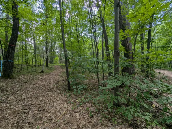 LOT 4 Fosmo Dr, Webster, WI 54893