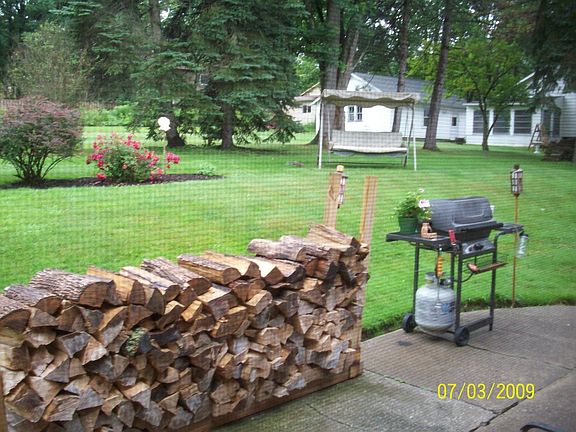 2009 View of Backyard