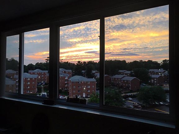 Views from living/dining space