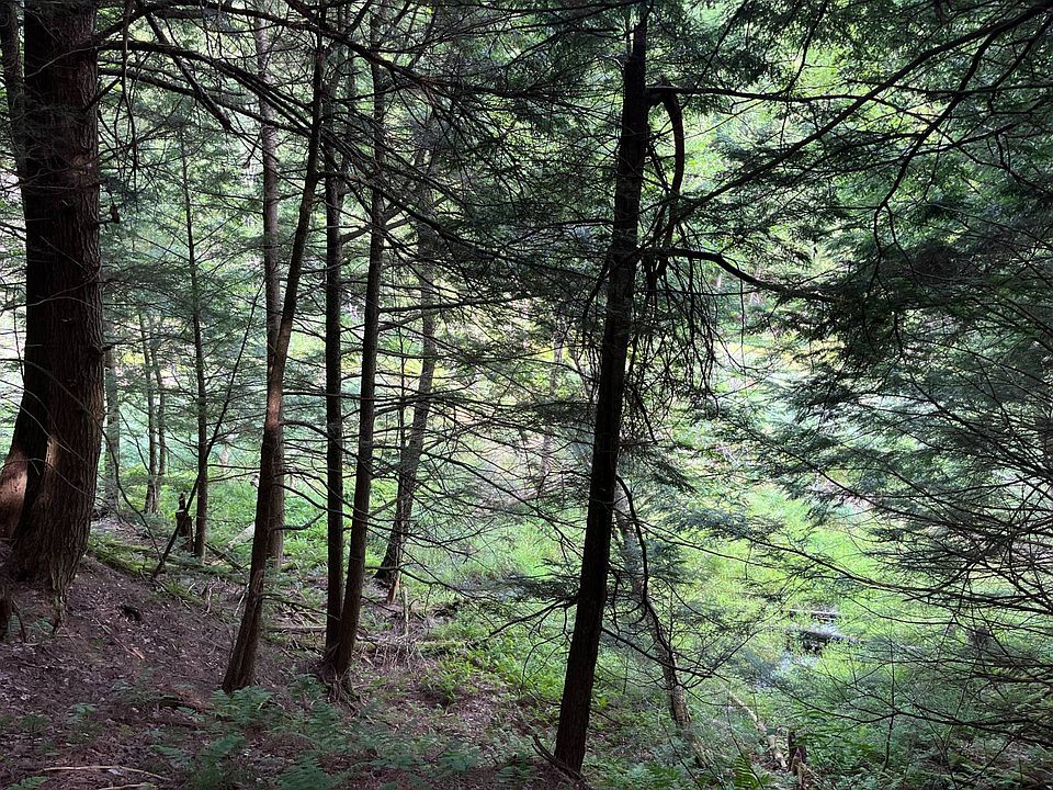 22nd image of 0 Streeter Rd #3
