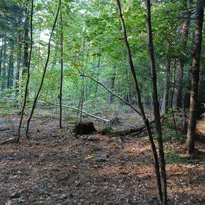 Lot A Highland Park Road, Fryeburg, ME, 04037