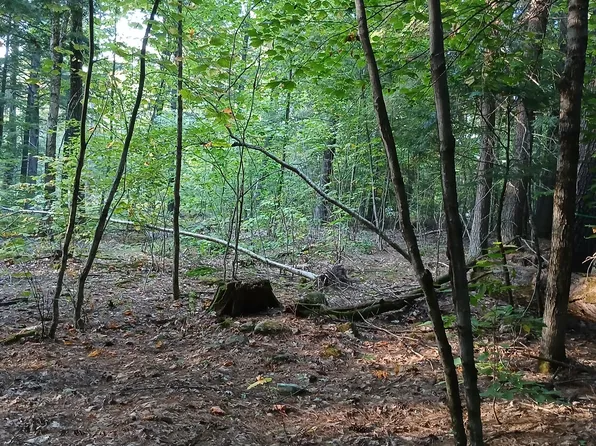 Lot A Highland Park Road, Fryeburg, ME 04037