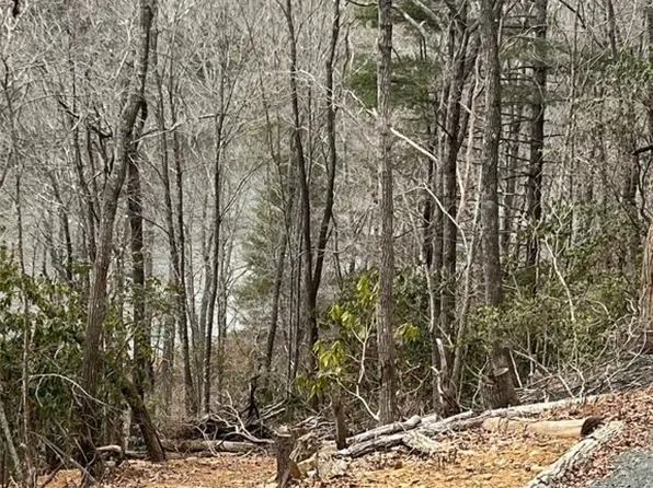 Lot 14 Riverview Drive, Jefferson, NC 28640