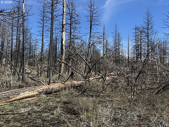 4th image of Hummingbird Dr #1