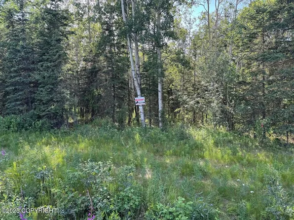 8A1 Lake Rd, Soldotna, AK 99669