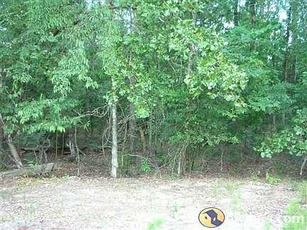 Lot View