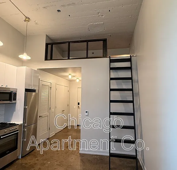 700 N La Salle Dr #706 — Photo 4