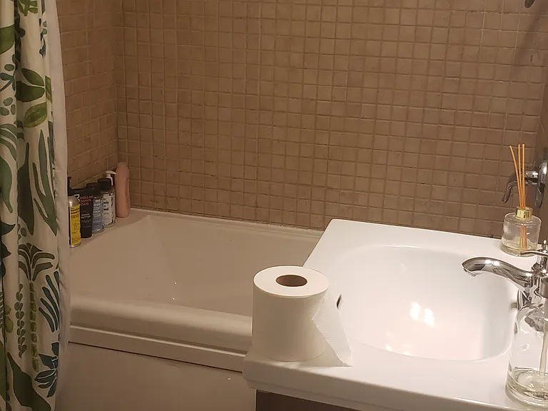 Second Floor rear bathroom tub & vanity