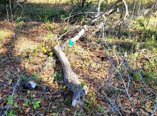 842 Ridge Rd, Tallahassee, FL 32305