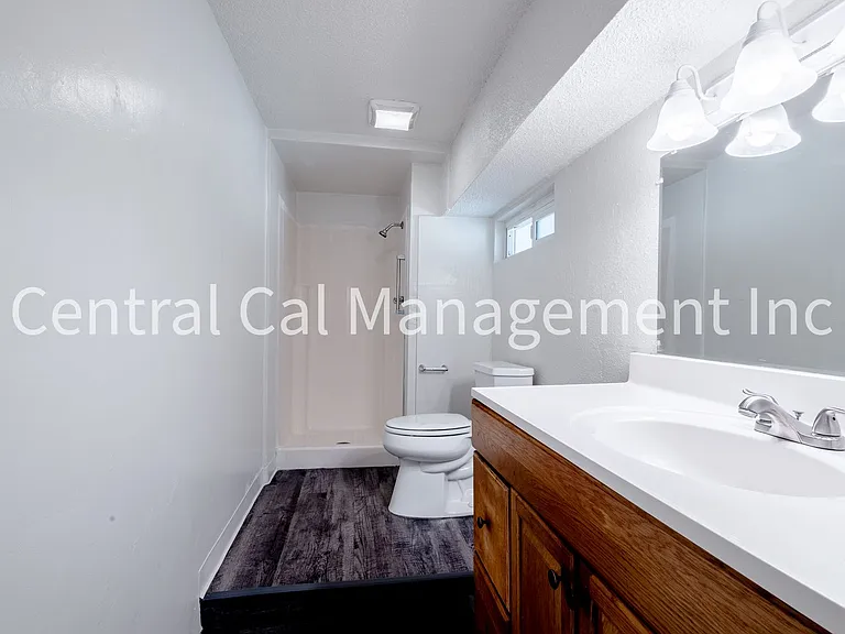 2334 Dracena St — Photo 9