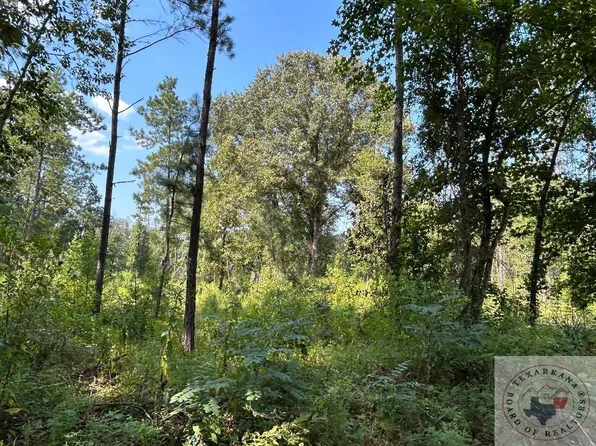 Tbd Cr 4668, Atlanta, TX 75551