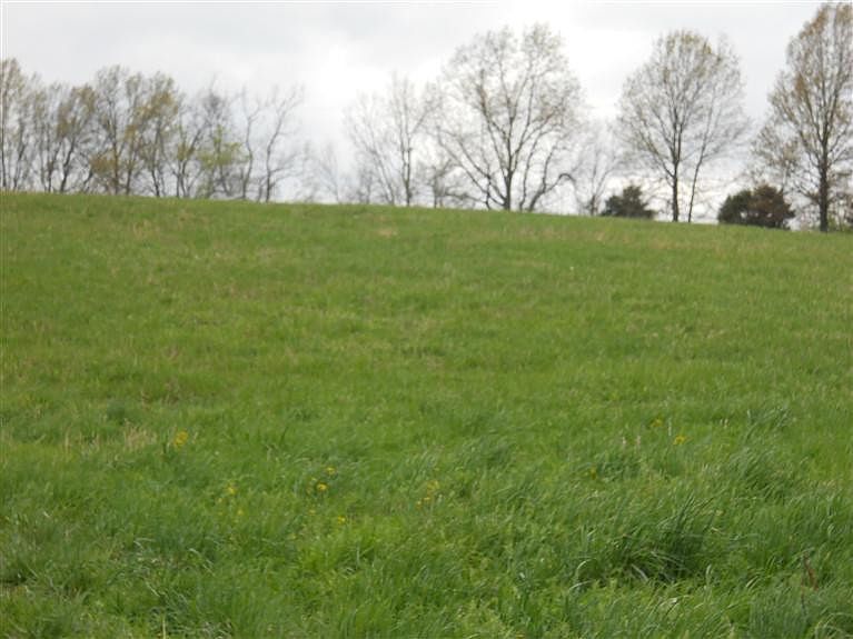 2nd image of 0 Junction Pike Lot 12