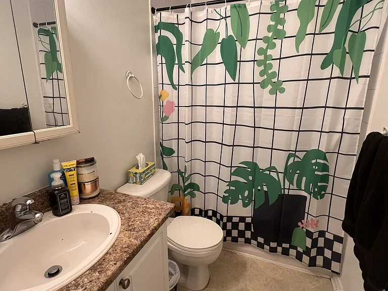 119 Daly Ave #A8 — Photo 6