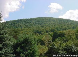 0 Bush Rd, Lexington, NY 12452