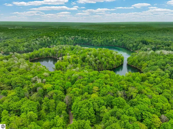 Lost Lake Trl, Mancelona, MI 49659