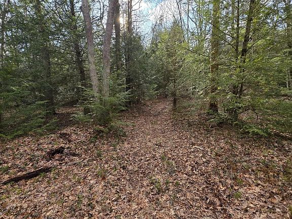 5th image of Snowy Rdg