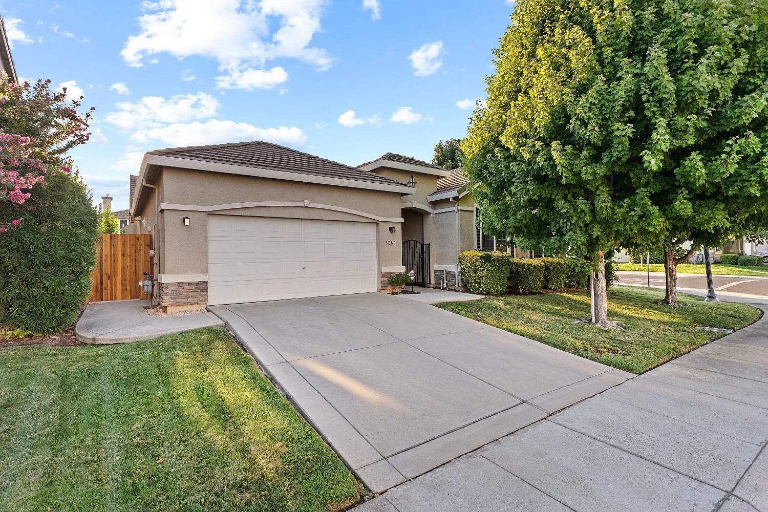 3080 Palmate Way photo 1