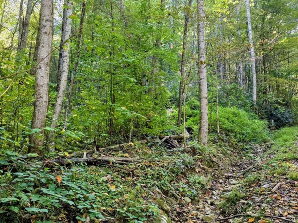 0 Balsam Slopes Rd, Sevierville, TN 37862