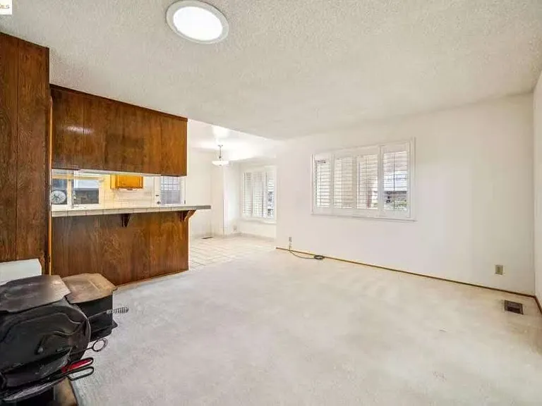 1073 Camellia Dr — Photo 13