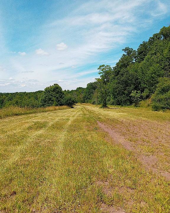 Cleared land