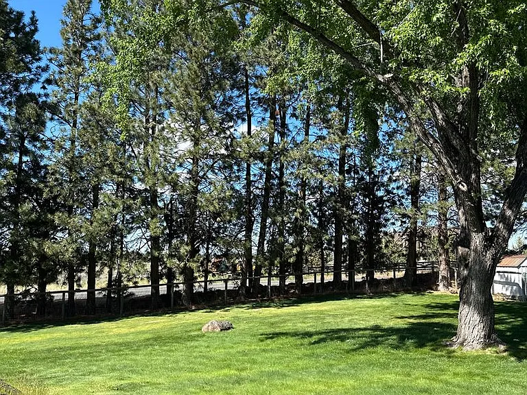 21700 Stud Ct — Photo 43