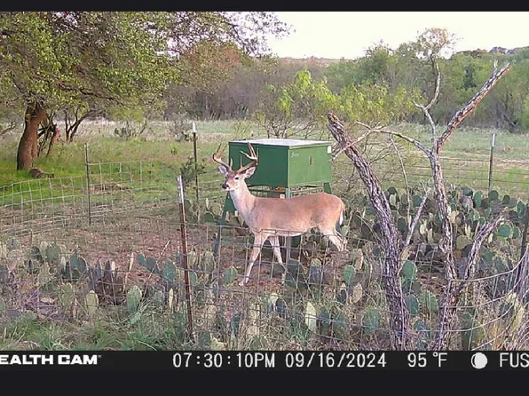 County Road 277, Baird, TX 79504