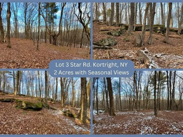 LOT 3 Star Rd Lot 3, Bloomville, NY 13739