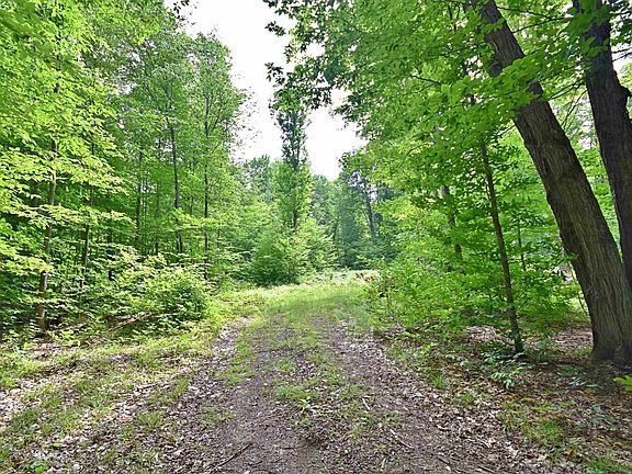 2nd image of Vl 0 Cherry Hill Rd
