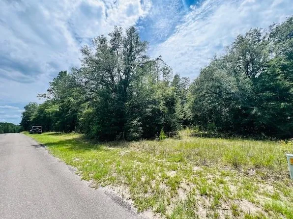  NE 51st Ter, High Springs, FL 32643