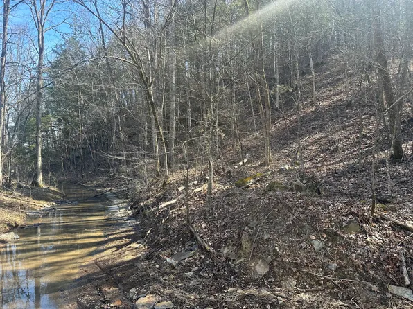Hominy Creek Rd, Burkesville, KY 42717