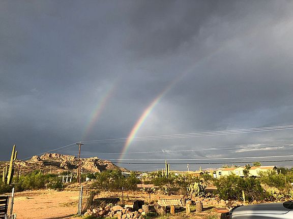 View from front yard