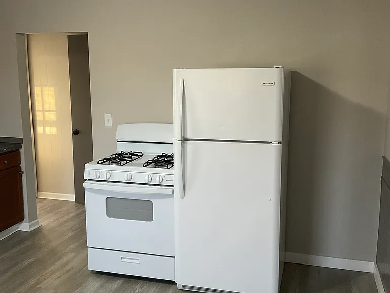 Gas stove and refrigerator
